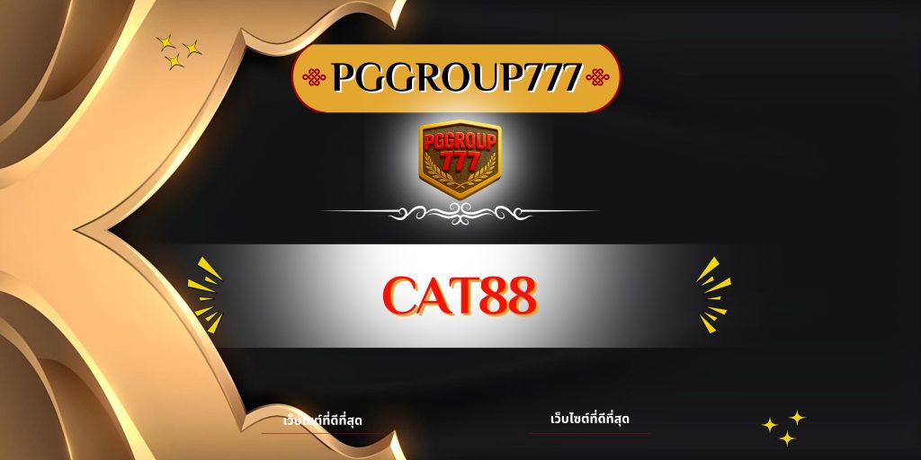 cat888